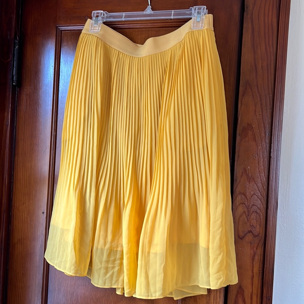 Pleated Skirt w/ Pockets!